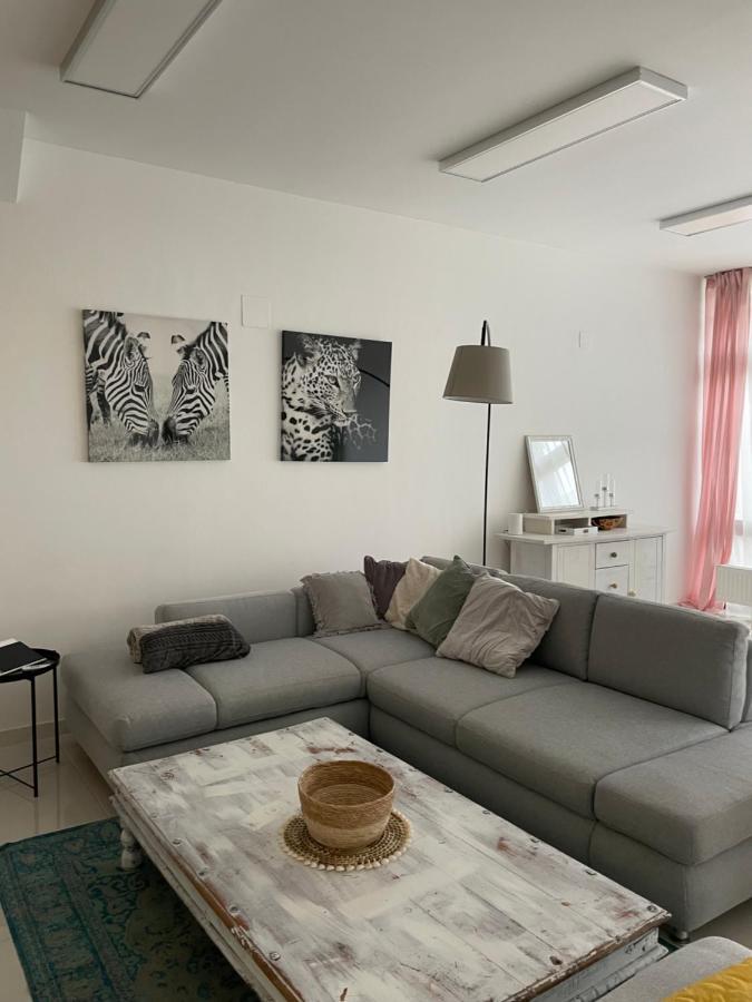 Stadtsuite Mit Sauna In Wiener Neustadt 135 M2 Kültér fotó