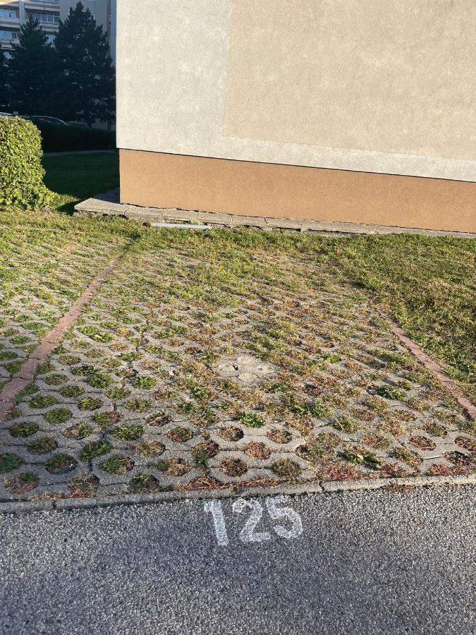 Stadtsuite Mit Sauna In Wiener Neustadt 135 M2 Kültér fotó